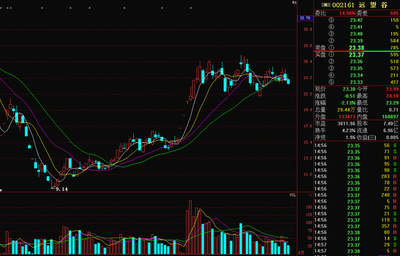 精準(zhǔn)解析遠(yuǎn)望谷 興辦實業(yè)的戰(zhàn)略與前景